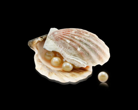 Coquillage ouvert contenant des perles blanches naturelles sur fond noir, symbole de pureté, de féminité et de sagesse intérieure – Aura Cristal